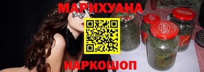 гашик Будённовск