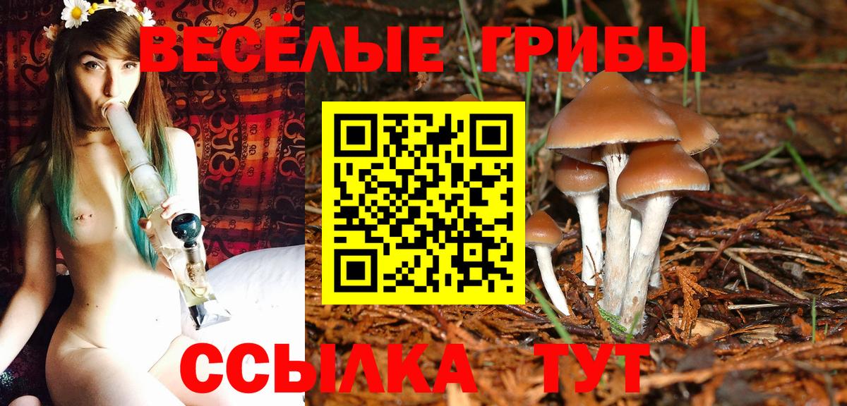 Псилоцибиновые грибы мухоморы Аксай